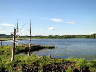 DIMG_4653.jpg