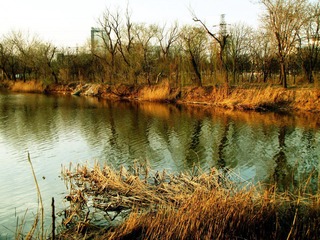 DIMG_0498.jpg