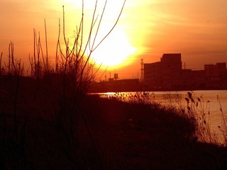 DIMG_0501.jpg