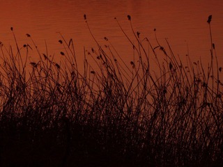 DIMG_0507.jpg