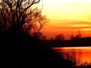 DIMG_0511.jpg