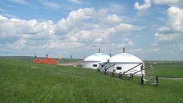 DIMG_4874.JPG