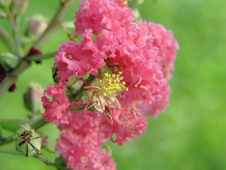DIMG_3406.JPG