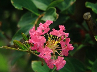 DIMG_3473.JPG