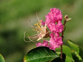 DIMG_3478.JPG
