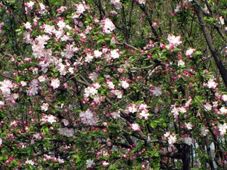IMG_0689.jpg