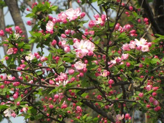 IMG_0718.jpg