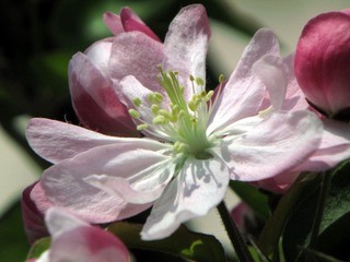 IMG_0783.jpg