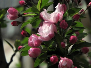 IMG_0790.jpg