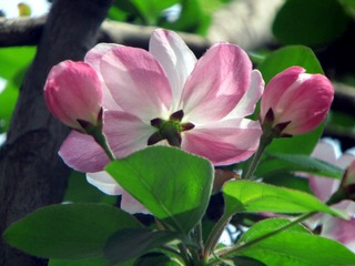 IMG_0799.jpg