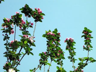 IMG_0806.jpg
