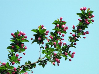 IMG_0809.jpg
