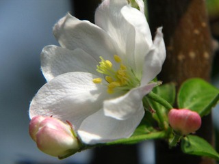 IMG_0923.jpg