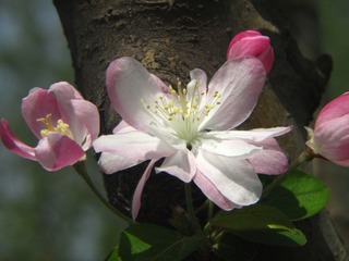 IMG_0928.jpg
