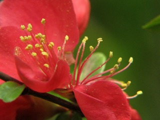DIMG_0575.jpg