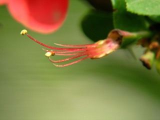 DIMG_1148.jpg