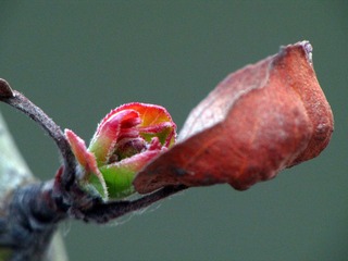 DIMG_1106.jpg