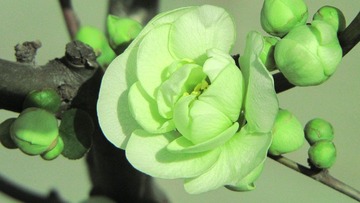 DIMG_1273.jpg