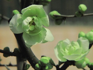 DIMG_1276.jpg
