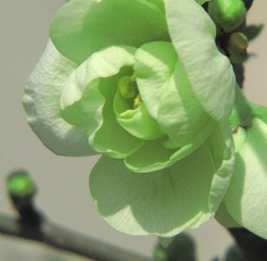 DIMG_1278.jpg