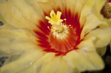 DSC_3069.jpg