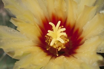 DSC_3071.jpg
