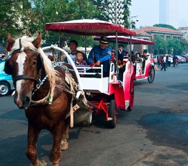 DSC_9656.jpg