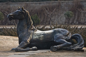 DSC_12665.jpg