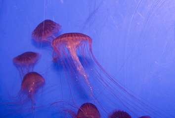 DSC_11842.jpg