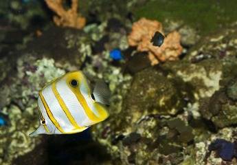 DSC_11811.jpg