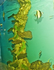 DSC_11795.jpg
