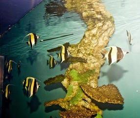 DSC_11796.jpg