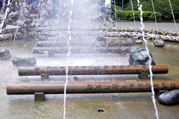 DSC_8952.JPG