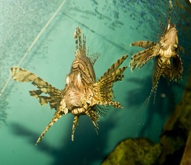 DSC_11798.jpg