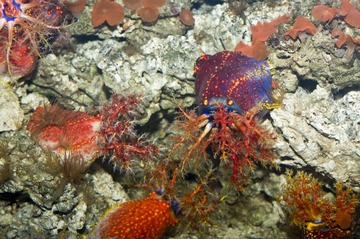 DSC_11862.jpg