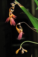 DIMG_1493