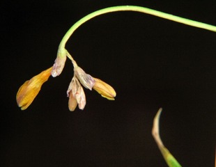 DIMG_1495