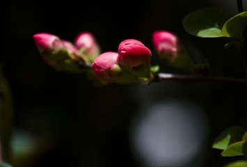 _DSC1099