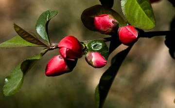 _DSC1102