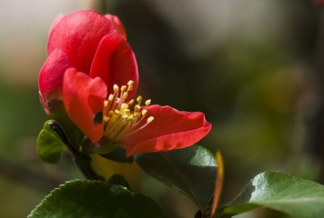 _DSC1105