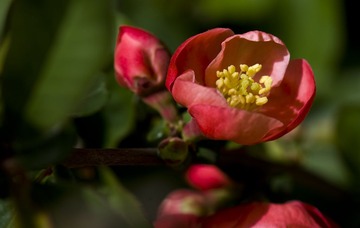 _DSC1109