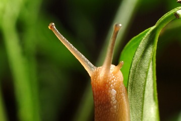 35657