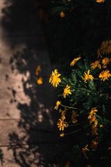 811E0DEF-6306-447F-A967-E98EA917C5F7/L0/001