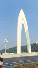 1000029954