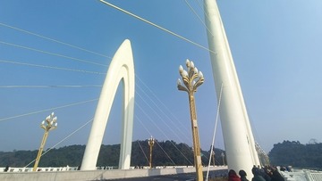 1000029955