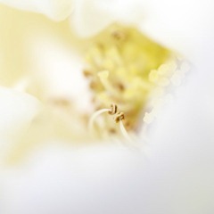 IMG_7709.jpg