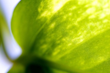 IMG_7710.jpg