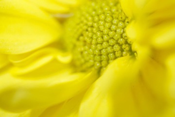IMG_7712.jpg