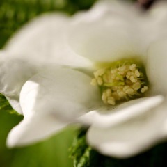 IMG_7861.jpg