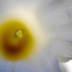 IMG_7867.jpg